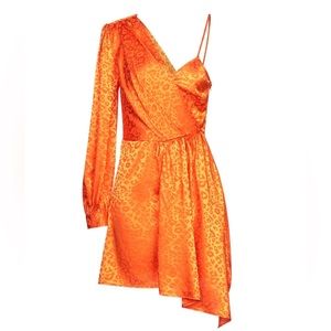 Stylish and elegant dress